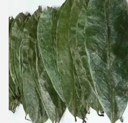 Soursop Leaves (Raw)